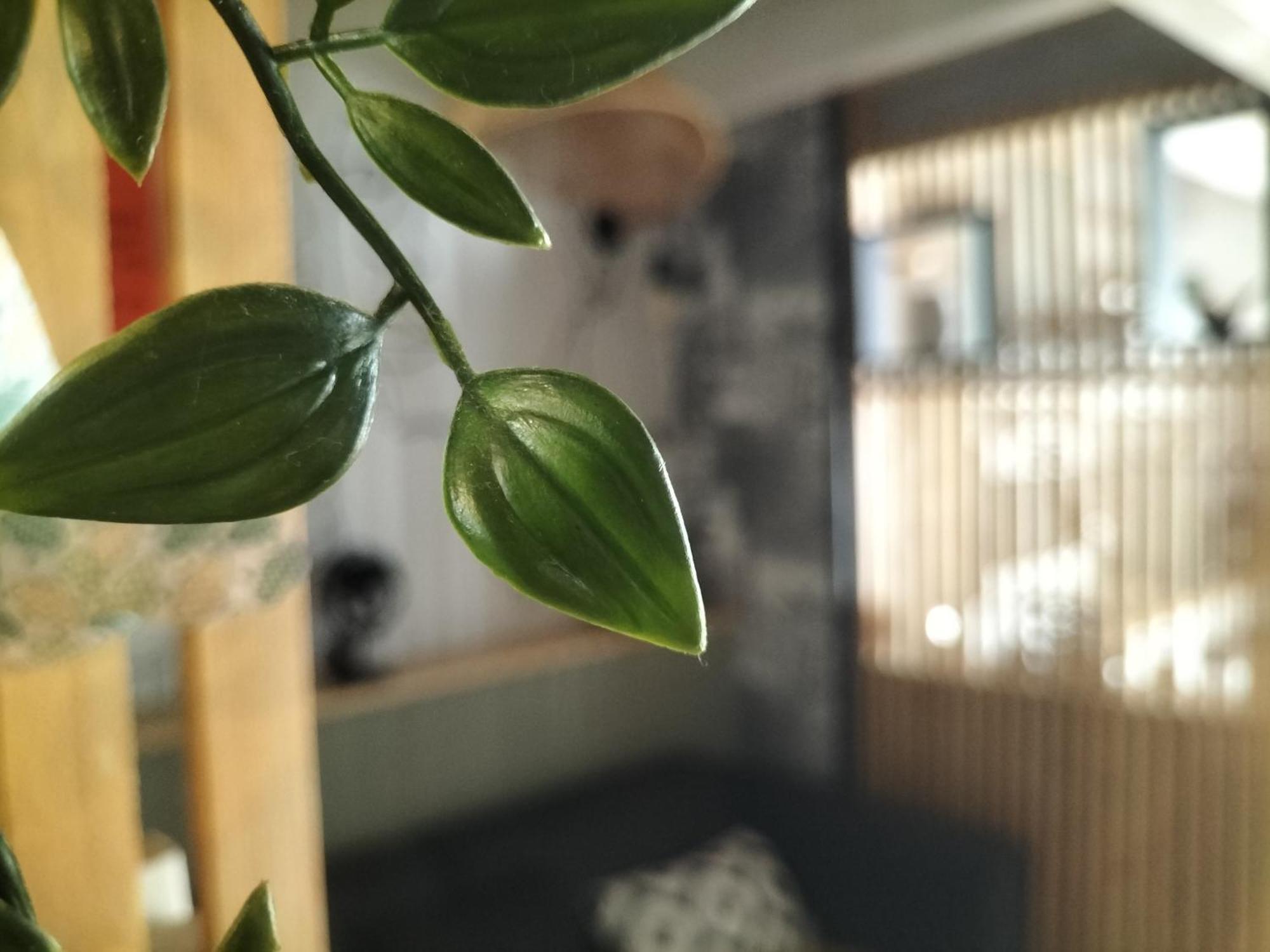 Mérignac Au Bord Du Vieux Moulin 아파트 외부 사진