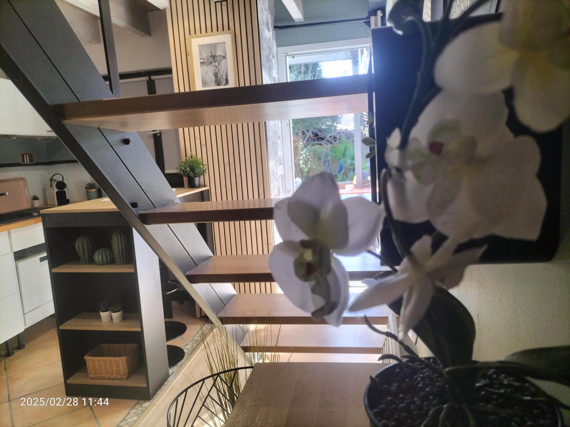 Mérignac Au Bord Du Vieux Moulin 아파트 외부 사진